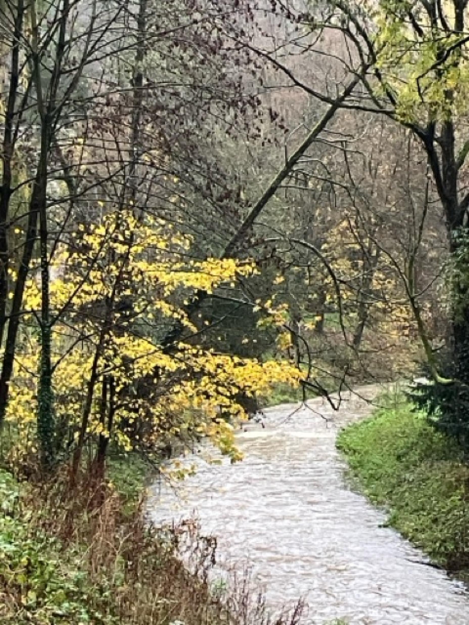 Tal der Petrusse / Petrusse Valley